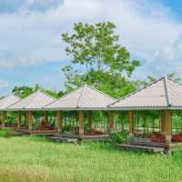 คาเฟ่นครนายก! เกาหลี เกาใจ ธรรมชาติสุดๆ สวยมาก