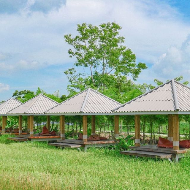 คาเฟ่นครนายก! เกาหลี เกาใจ ธรรมชาติสุดๆ สวยมาก