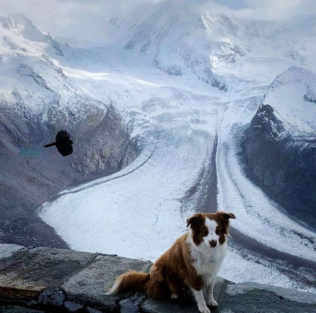 The Town Of Zermatt