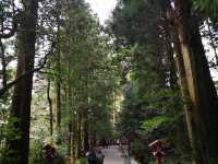 Beautiful Shrine in Hakone 