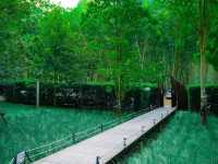 คาเฟ่ลับ ในป่า In to the forest