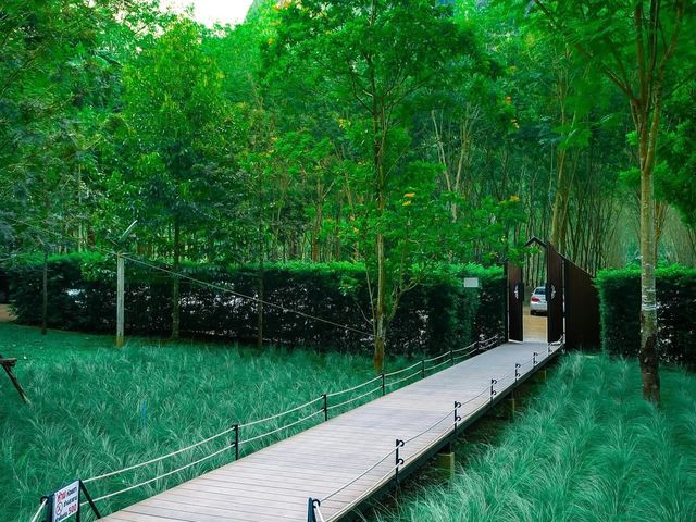 คาเฟ่ลับ ในป่า In to the forest