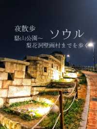 【ソウル】のんびり夜のお散歩🌙駱山公園から梨花洞壁画村まで🌙