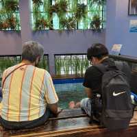 Fish 🐟🐠 Spa Inside Central Market 🇲🇾
