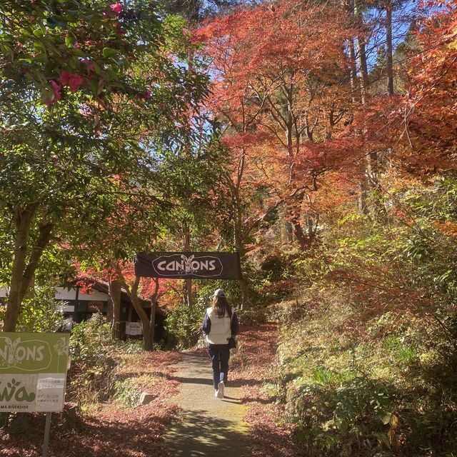 【東京都・奥多摩】秋紅葉リバーサイドカフェ　AWA 