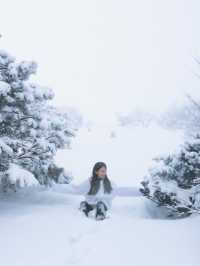 제주 눈 올때 갈만한 코스! 윗세오름 등반 ❄️