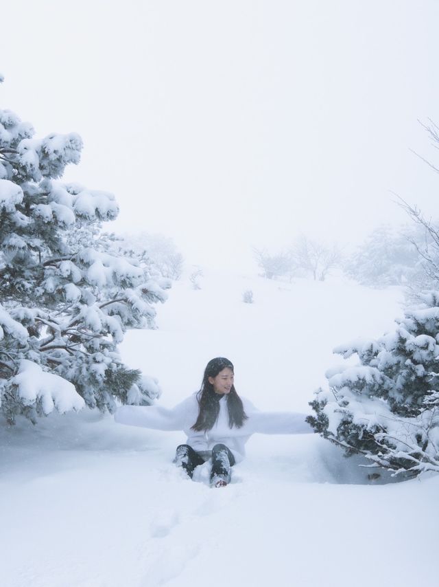제주 눈 올때 갈만한 코스! 윗세오름 등반 ❄️