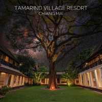Tamarind Village Chiang Mai พักสบายใจกลางเมือง