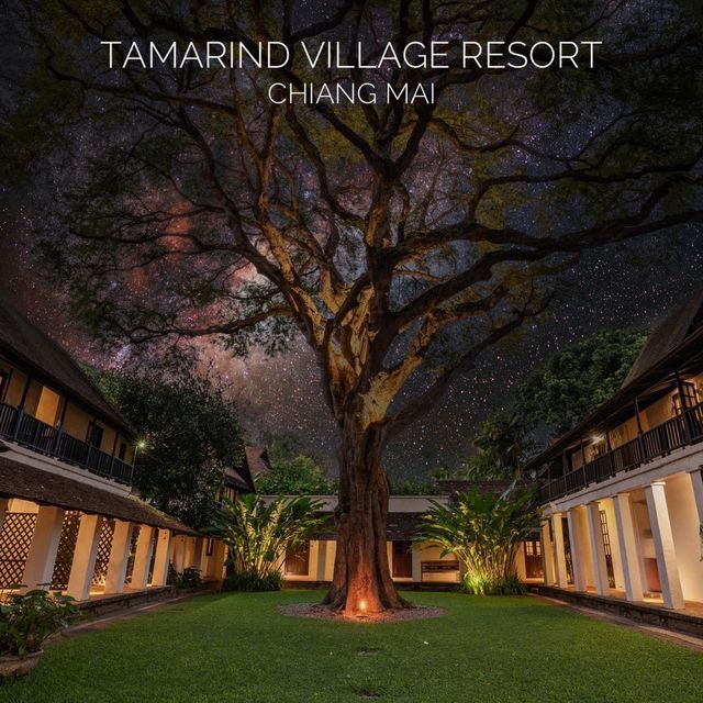 Tamarind Village Chiang Mai พักสบายใจกลางเมือง