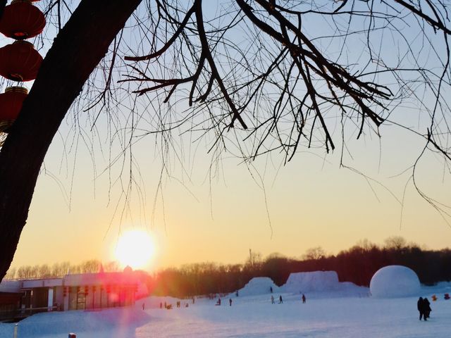 SNOW SCULPTURES & STUNNING SUNSET 