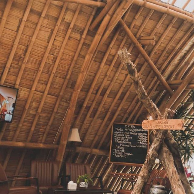Oak Tree Glamping Resort
