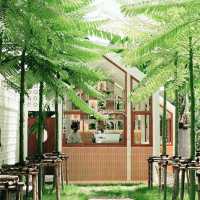 Chonor Cafe, Shanghai