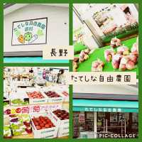 【長野】たてしな自由農園　原村