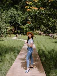 Into the forest 