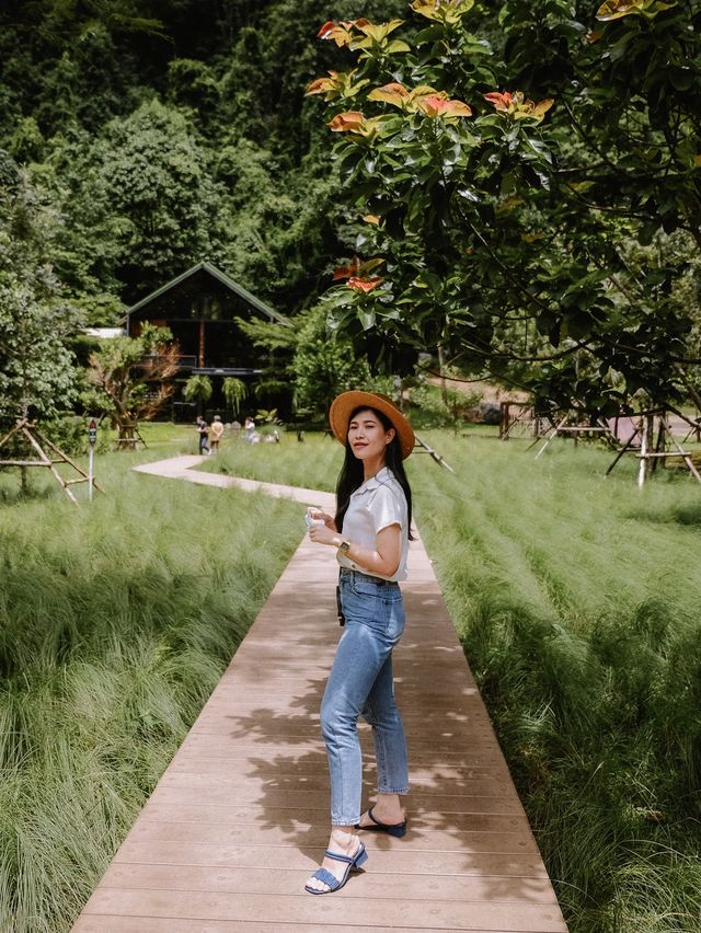 Into the forest 
