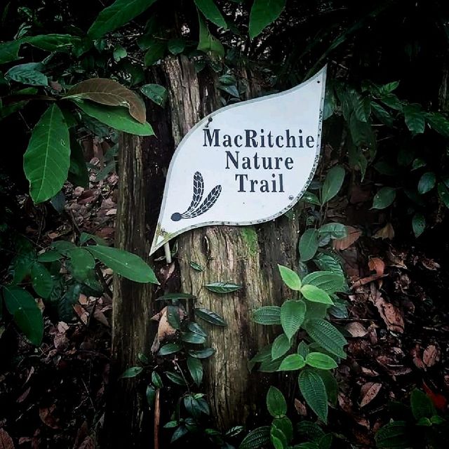 MacRitchie Reservoir