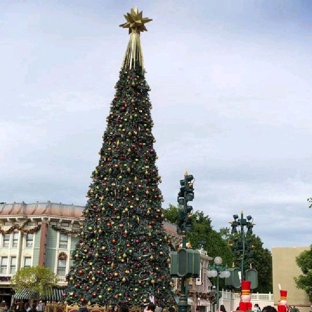    迪士尼Christmas 🎄🎇😊