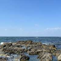 겨울바다 주문진 🌊