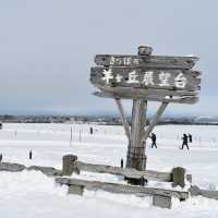 【北海道】少年よ、大志を抱け。羊ヶ丘展望台