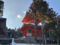 【和歌山観光】和歌山県を代表する観光地⛩