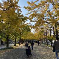 【広すぎる公園！】東京・立川の国営昭和記念公園を楽しむ