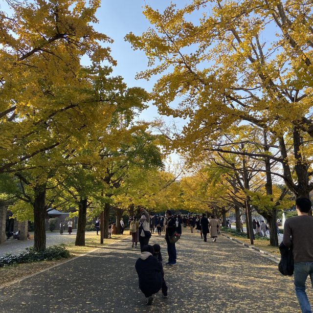 【広すぎる公園！】東京・立川の国営昭和記念公園を楽しむ