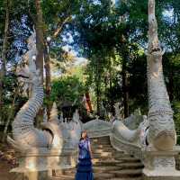 วัดหลวงขุนวิน วัดซ่อนตัวอยู่ในป่า