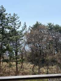 변산 채석강 산책길이 있는 호캉스, 소노벨 변산 📸