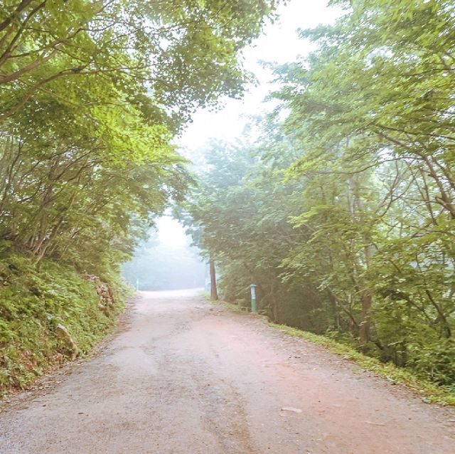 [남해] 안개속 신비한 기도처, 보리암 