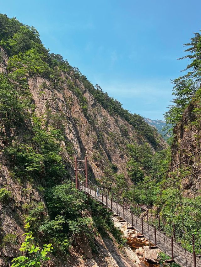 등린이도 도저언!! 설악산 토왕성폭포전망대 코스⛰