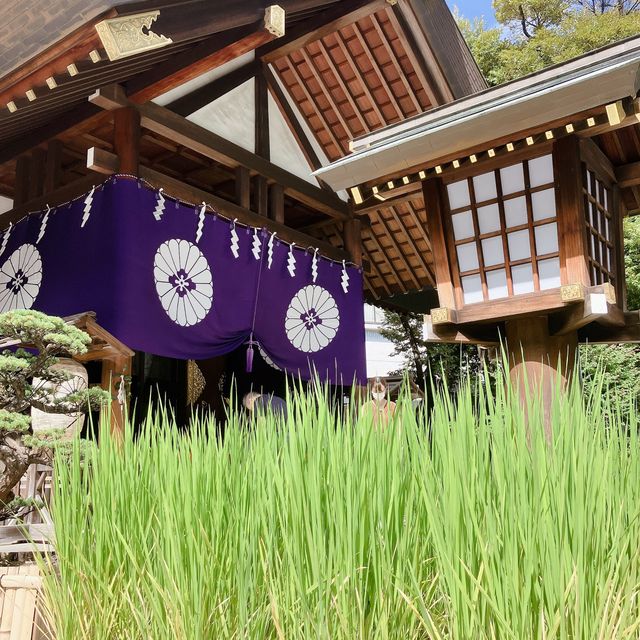 【東京】東京のお伊勢さん