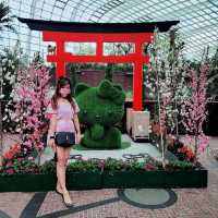 Flower Dome x Sakura flowers with Hello Kitty