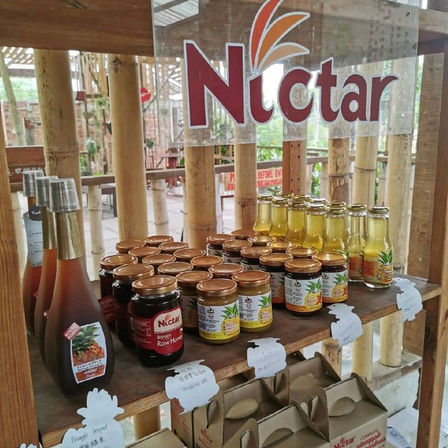 The Pineapple Farm In Pekan Nanas 