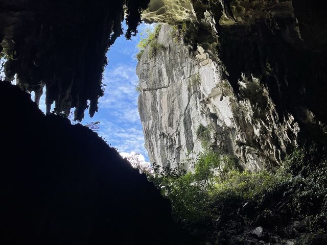Fairy 🧚‍♀️ Cave 