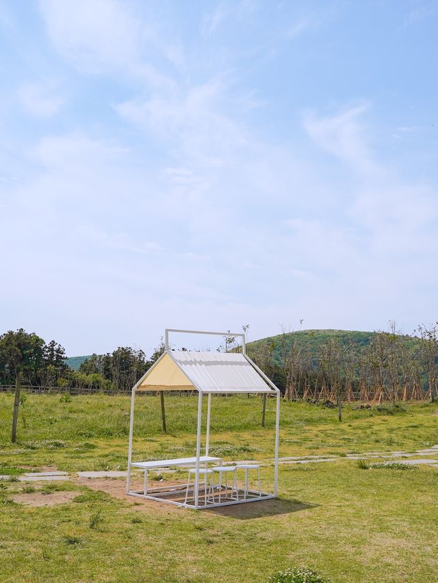 제주 카페 우유부단