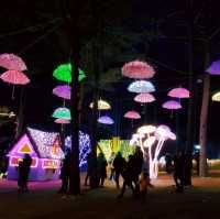 Illumination at Garden of Morning calm
