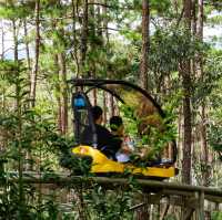 นั่ง Alpine Coaster ลงไปน้ำตก 