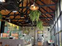 🌴Cafe Amazon 🦜🌳