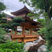 日式園林美景,鬧市中的心靈靜逸休憩地方:南蓮園池&志蓮淨苑