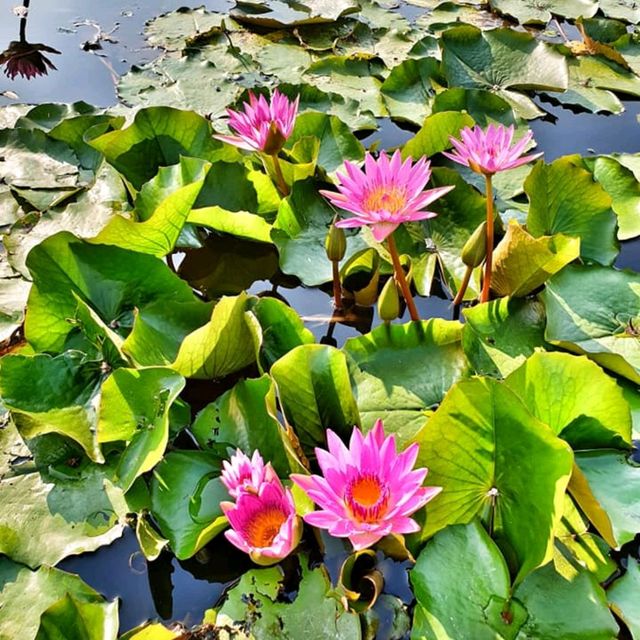 ที่เที่ยวสไตล์ธรรมชาติ ดื่มด่ำบรรยากาศสุดฟิน 