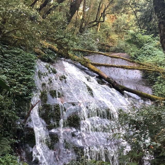 กิ่วแม่ปาน ดอยอินทนนท์⛰️🍃