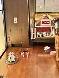 AIBOと遊べる！ハイアットセントリック銀座東京のロビー&ラウンジ