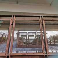 官塘海濱公園+長廊