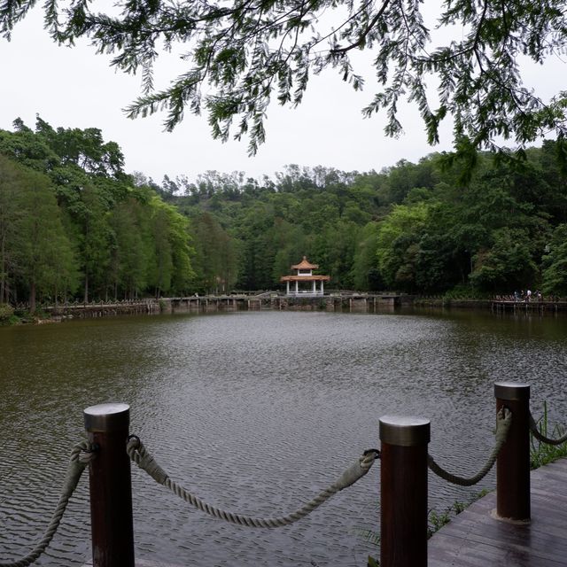 深圳至抵玩植物園