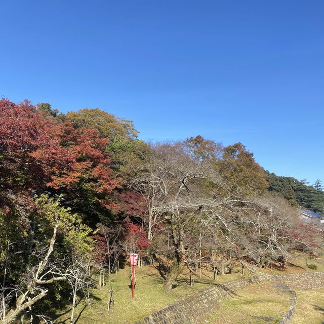 日本養老公園絕美賞楓景點