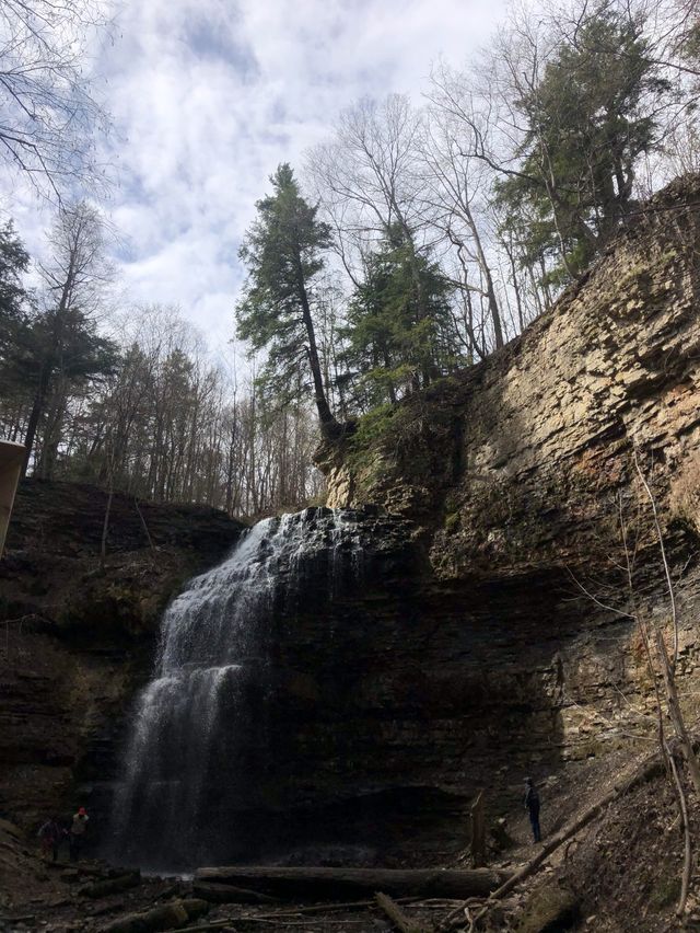 Falls Capital