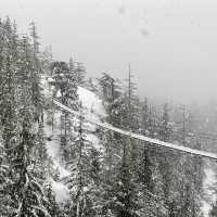 Squamish Sea to Sky Gondola 