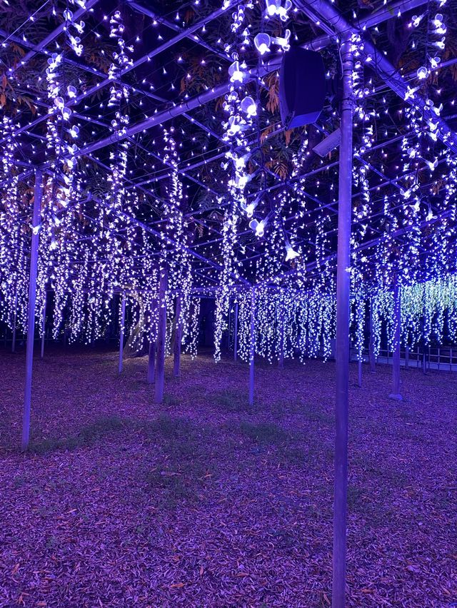 あしかがフラワーパーク