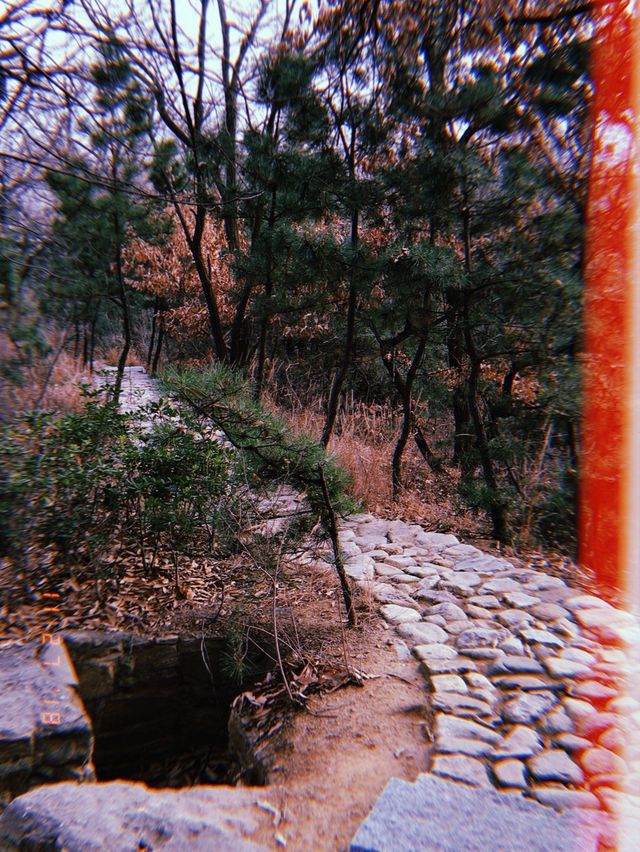 Lantau Peak Yantai 