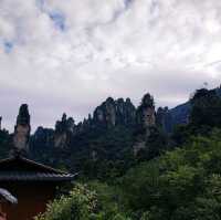 a lifetime trip to the land of "Avatar"! 